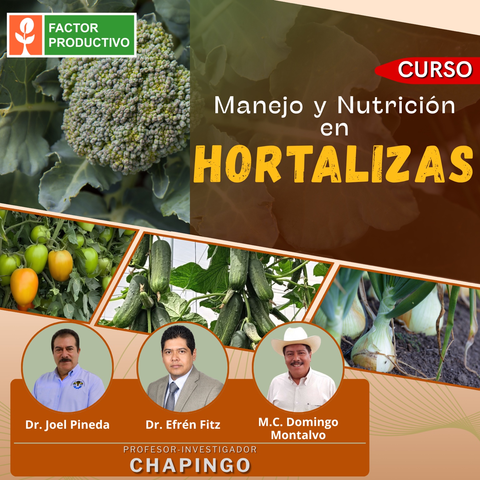 Programa del curso Manejo y Nutrición en Hortalizas